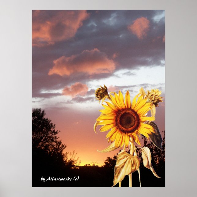 POSTER COUCHER DE SOLEIL ÉTÉ TOURNESOL ET ROSE (Devant)