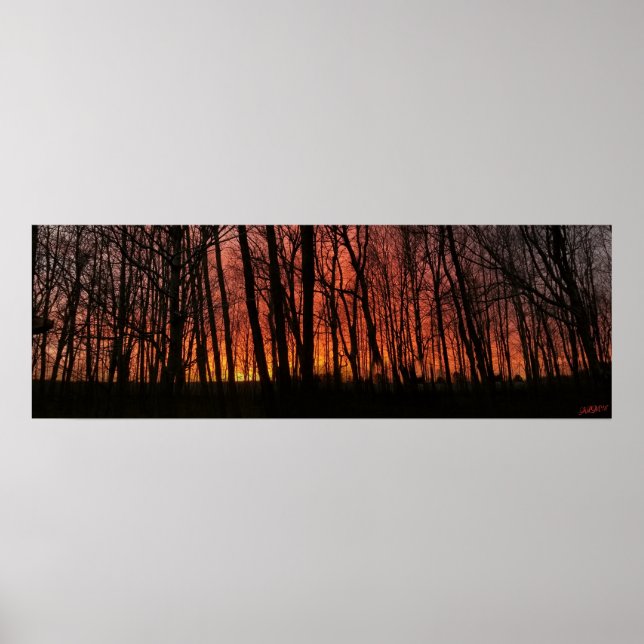 Poster Coucher de soleil "Fire in the Sky" (Devant)