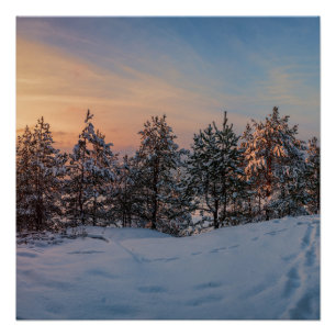 Poster Coucher de soleil sur la forêt gelée de neige près