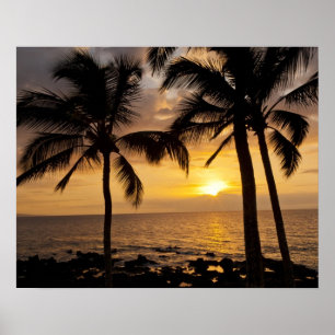 Poster Coucher de soleil sur les palmiers