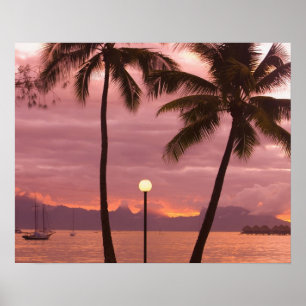 Poster Coucher de soleil sur Moorea depuis la plage de So