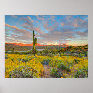 Poster Coucher de soleil sur paysage désertique