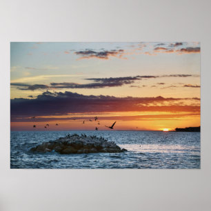 Poster Coucher de soleil sur Pelican Rock, île Dauphin, A
