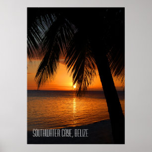 Poster Coucher de soleil sur un palmier tropical au Beliz