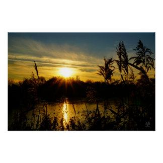 Poster Coucher de soleil sur un petit lac avec des plumet