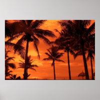 Coucher de soleil tropical Design été Palmiers Pay