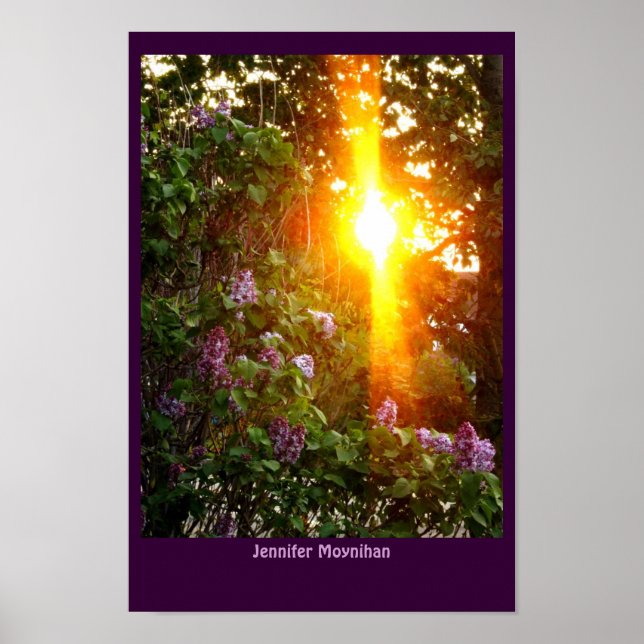 Poster Coucher du soleil (Devant)