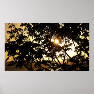 Poster Coucher du soleil à travers les arbres I Photograp
