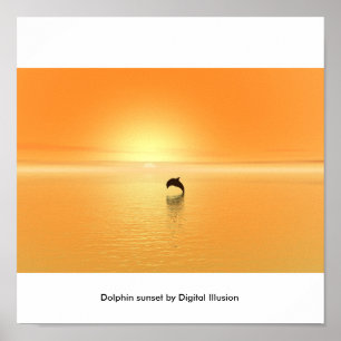 Poster Coucher du soleil de dauphin