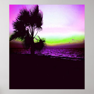 Poster Coucher du soleil tropical