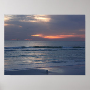 Poster Couchers de soleil de Siesta Key