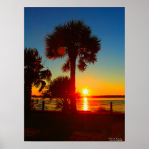 Poster Couchers de soleil et palmiers
