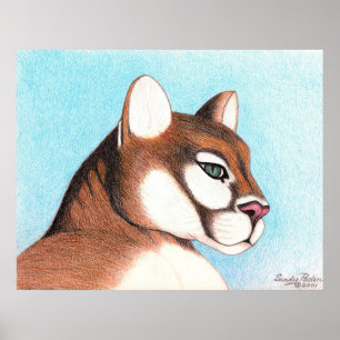 Poster Cougar #2