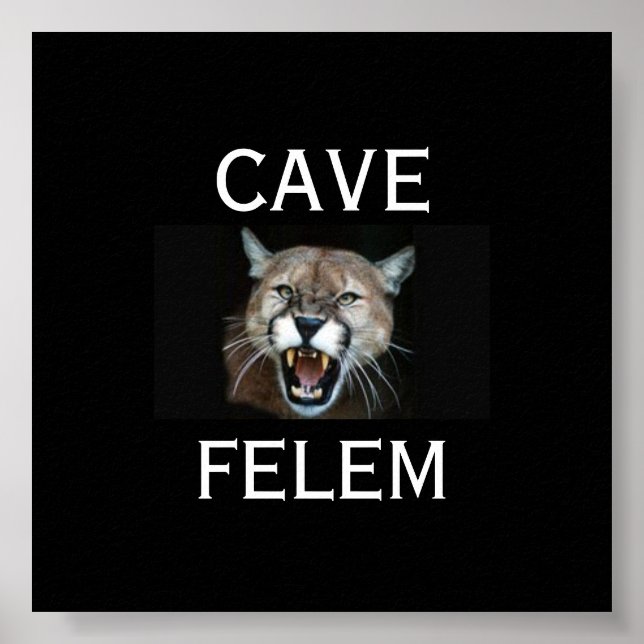 Poster COUGARBeware Of The Cat - En Latin.. -Personnalisé (Devant)