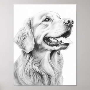 Poster Couleur adulte de chien réaliste
