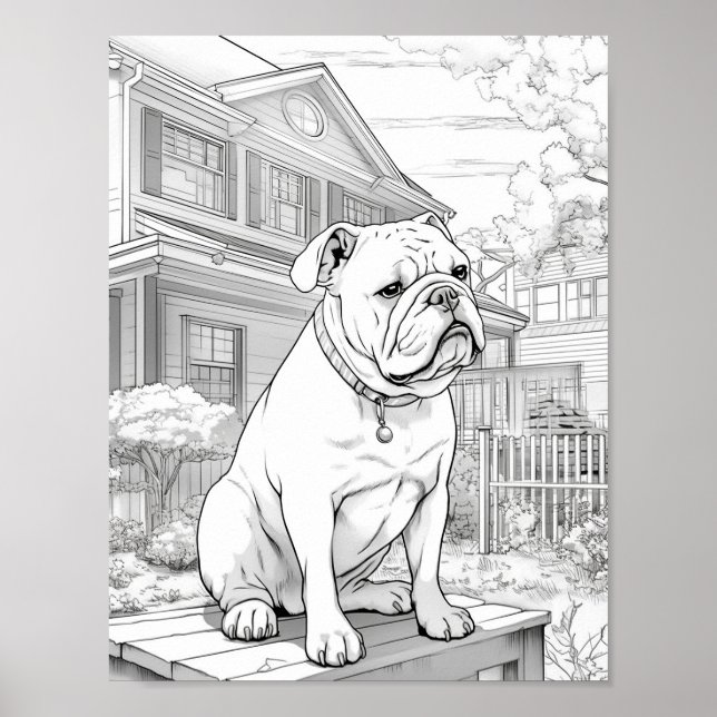 Poster Couleur adulte de chien réaliste (Devant)