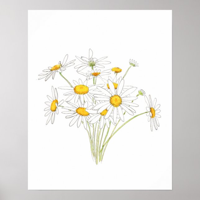 Poster couleur d'aquarelle blanche petite marguerite bouq (Devant)