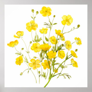 Poster couleur d'aquarelle des fleurs de papillon jaune