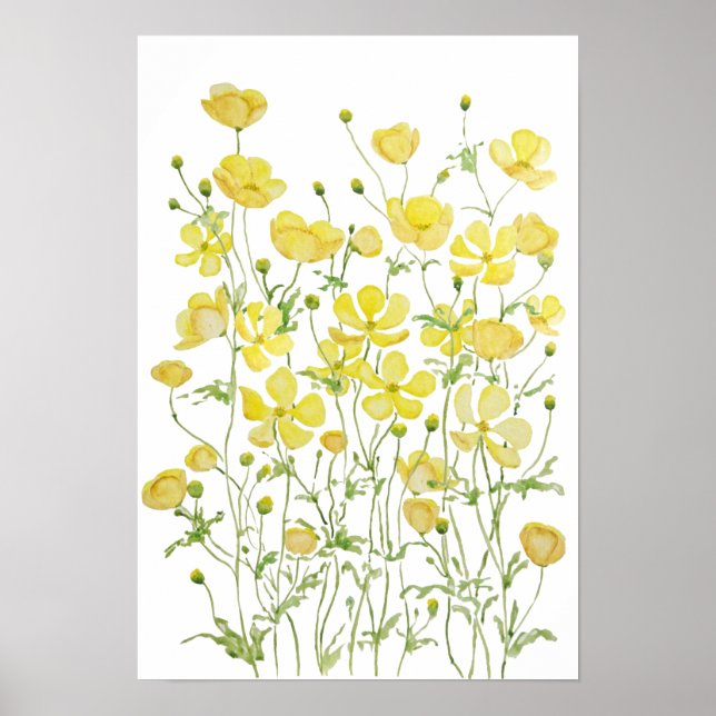 Poster couleur d'aquarelle du champ de fleurs de beurres  (Devant)
