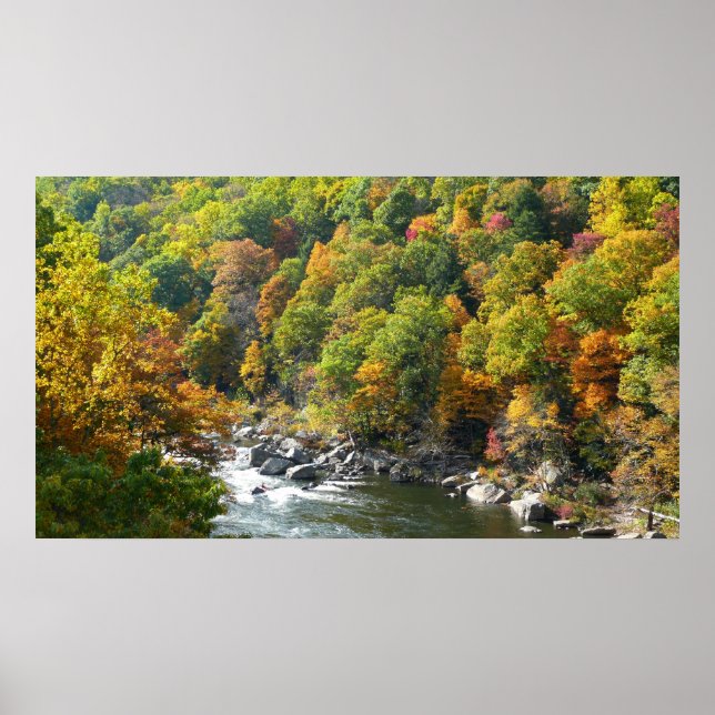 Poster Couleur d'automne dans le parc d'état d'Ohiopyle (Devant)