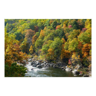 Poster Couleur d'automne dans le parc d'état d'Ohiopyle