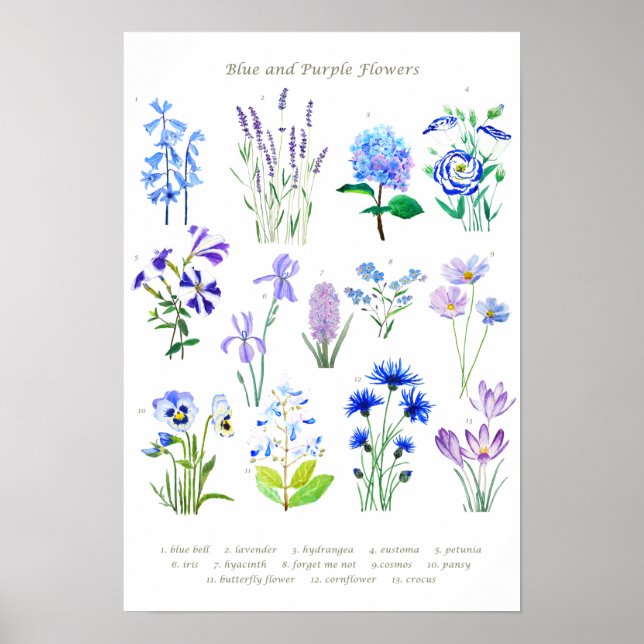 Poster couleur d'eau de la collection de fleurs bleues et (Devant)