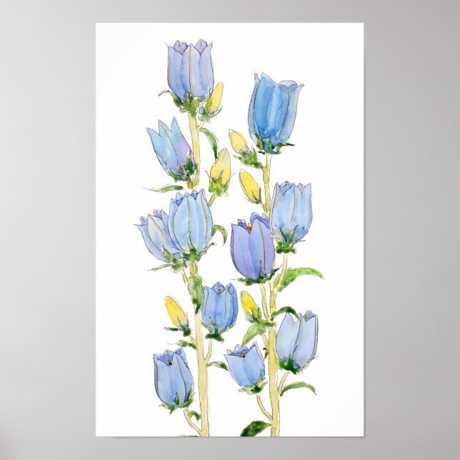 Poster couleur d'eau des cloches Canterbury bleues et vio (Devant)