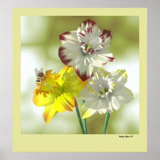 Poster Couleur préférée