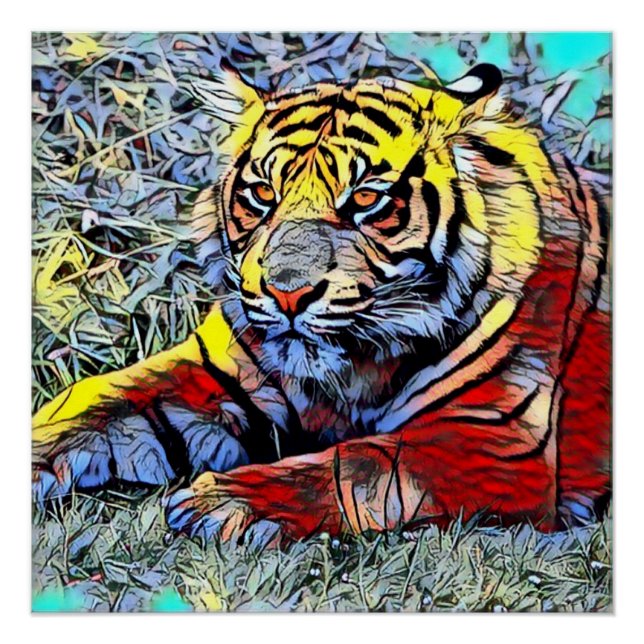 Poster Couleur - Tiger 2 (Devant)