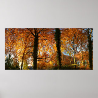 Poster Couleurs d'automne