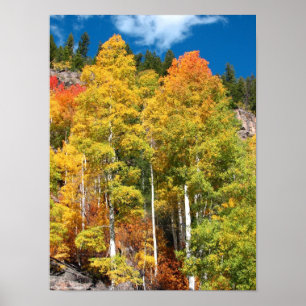 Poster Couleurs d'automne