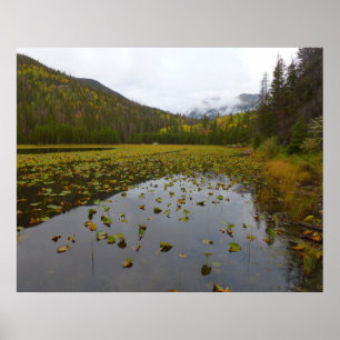 Poster Couleurs d'automne au lac Cub