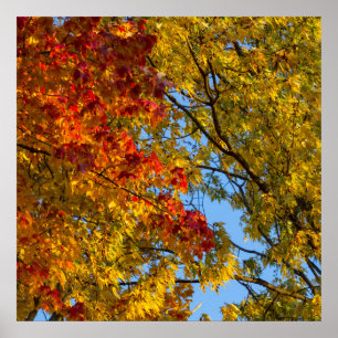 Poster Couleurs d'automne, Ciel bleu, Ohio