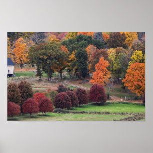 Poster Couleurs d'automne dans le Massachusetts