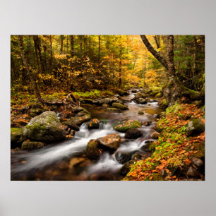 Poster Couleurs d'automne Jefferson Brook   Montagnes Bla