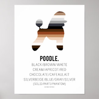 Poster Couleurs de caniche Imprimer par HUXSHOP