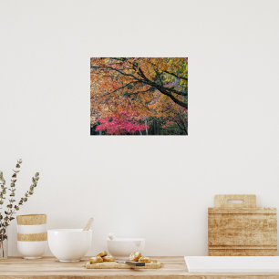 Poster Couleurs de feuilles de saison automnale Botanical