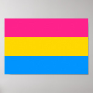 Poster Couleurs de la fierté pansexuelle