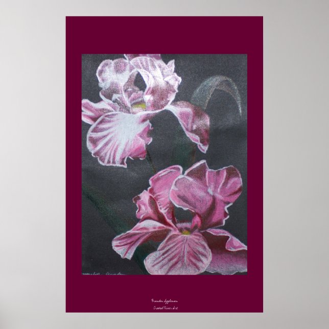 Poster Couleurs de l'Iris (Devant)