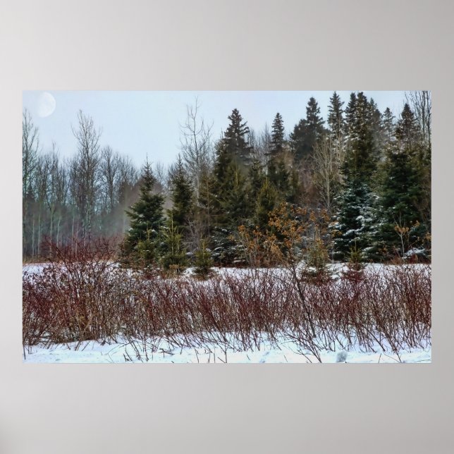 Poster Couleurs d'hiver (Devant)