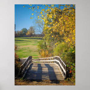 Poster Couleurs du pont