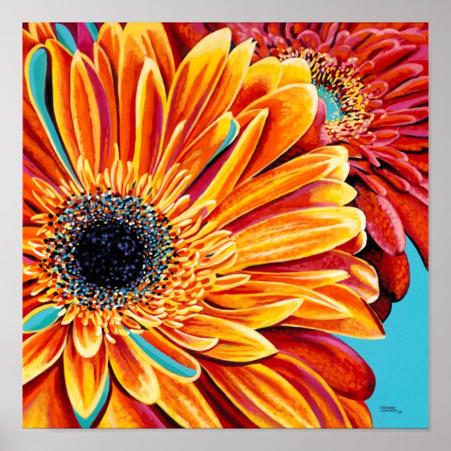 Poster Couleurs éclatées II (Devant)