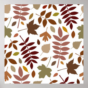 Poster Couleurs tombées du Motif Feuille tombées sur blan