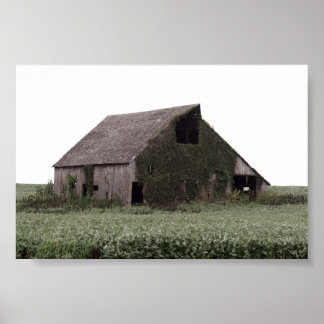 Poster Country Barn