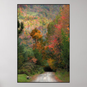 Poster Country Road