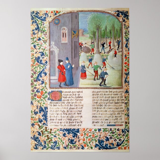 Poster Coupe des arbres et récolte (Devant)