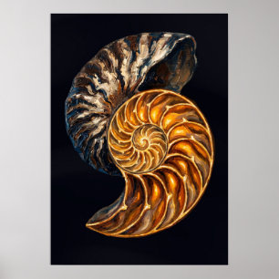 Poster Coupe transversale de coquille de nautile — Spiral
