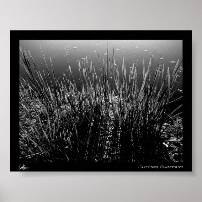 Poster Couper les ombres (Devant)