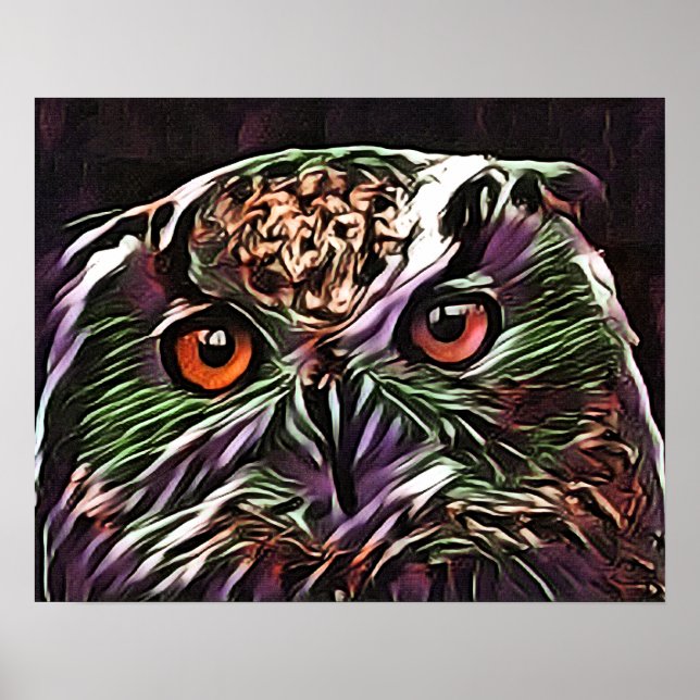 POSTER COUPER OWL (Devant)