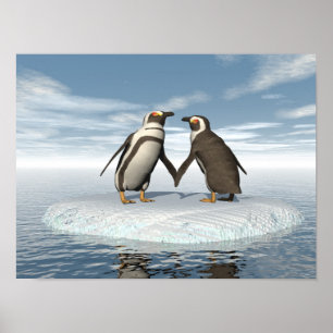 Poster Couples de pingouins